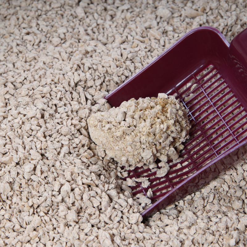 Clumping clay litter clumps together for easy cleaning