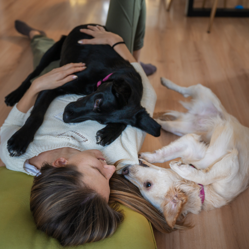 Cuddling dogs in the house is now a normal part of life